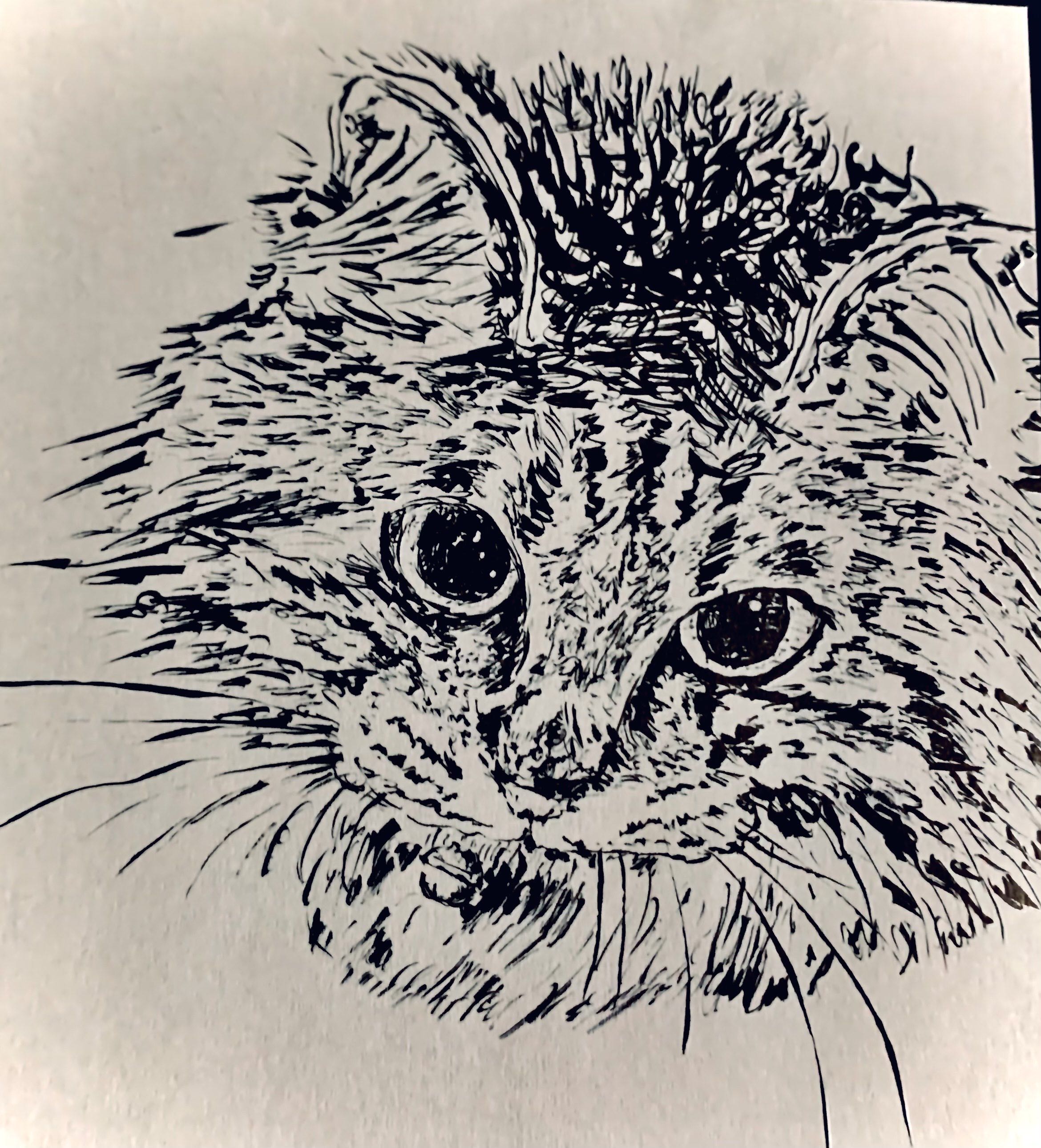 Cat Ann Illustration 4
