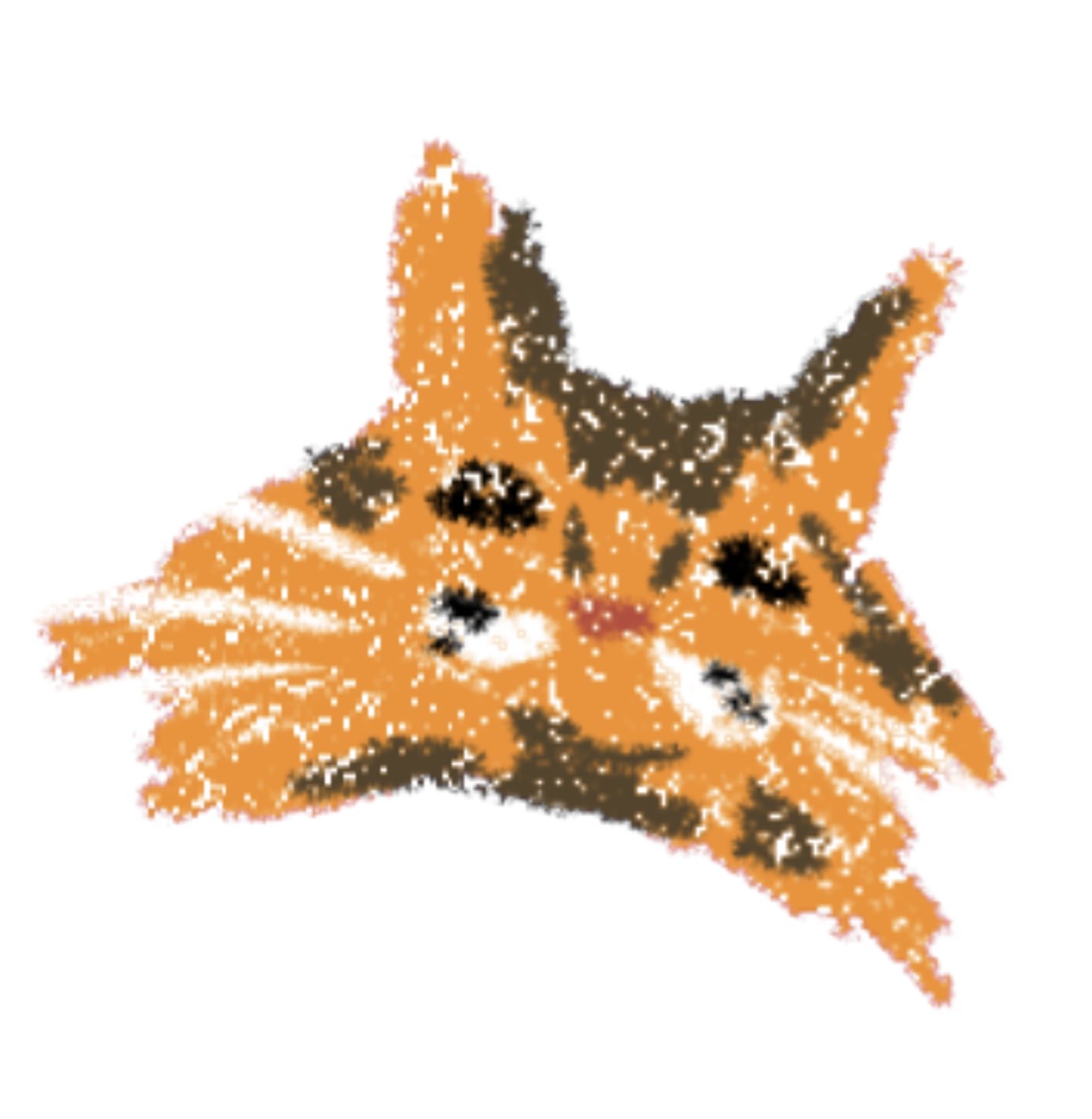 Cat Ann Illustration 5