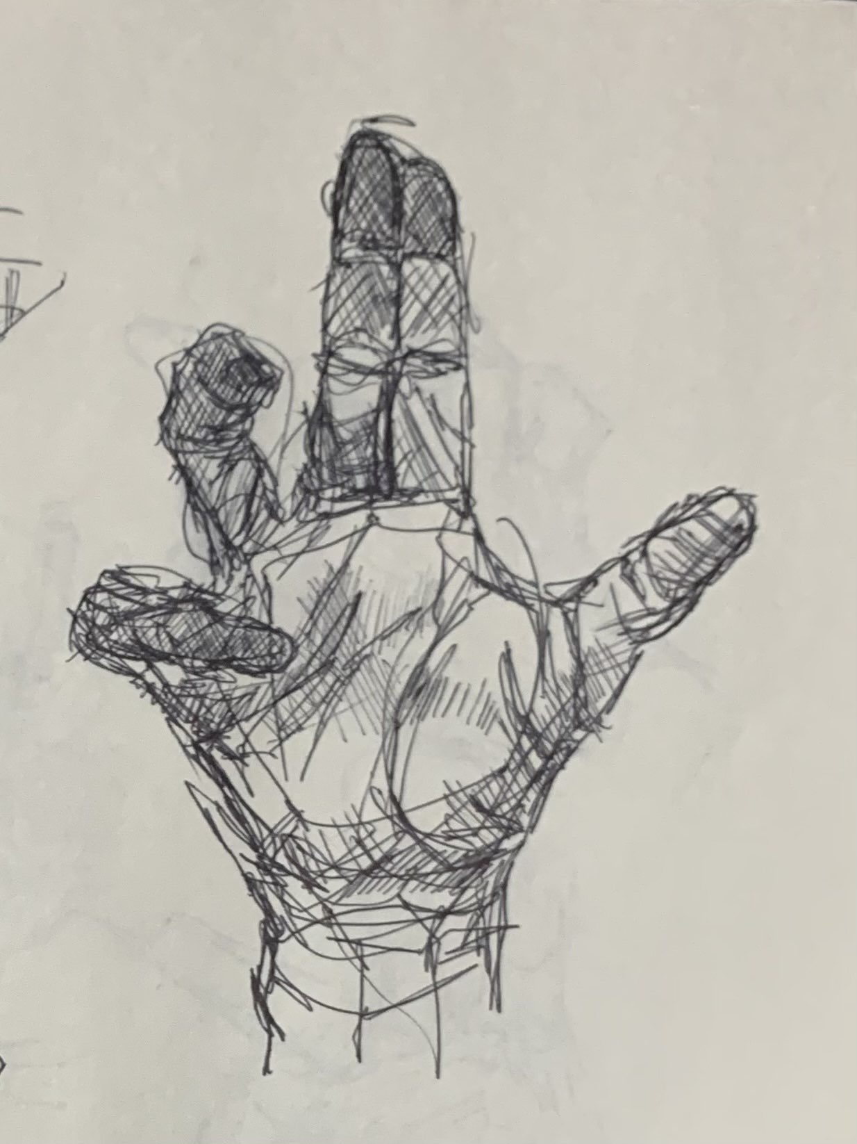 Hand Study 2
