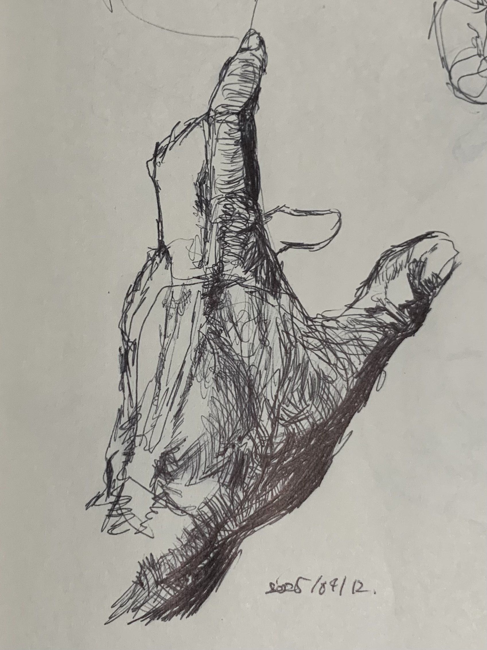 Hand Study 5
