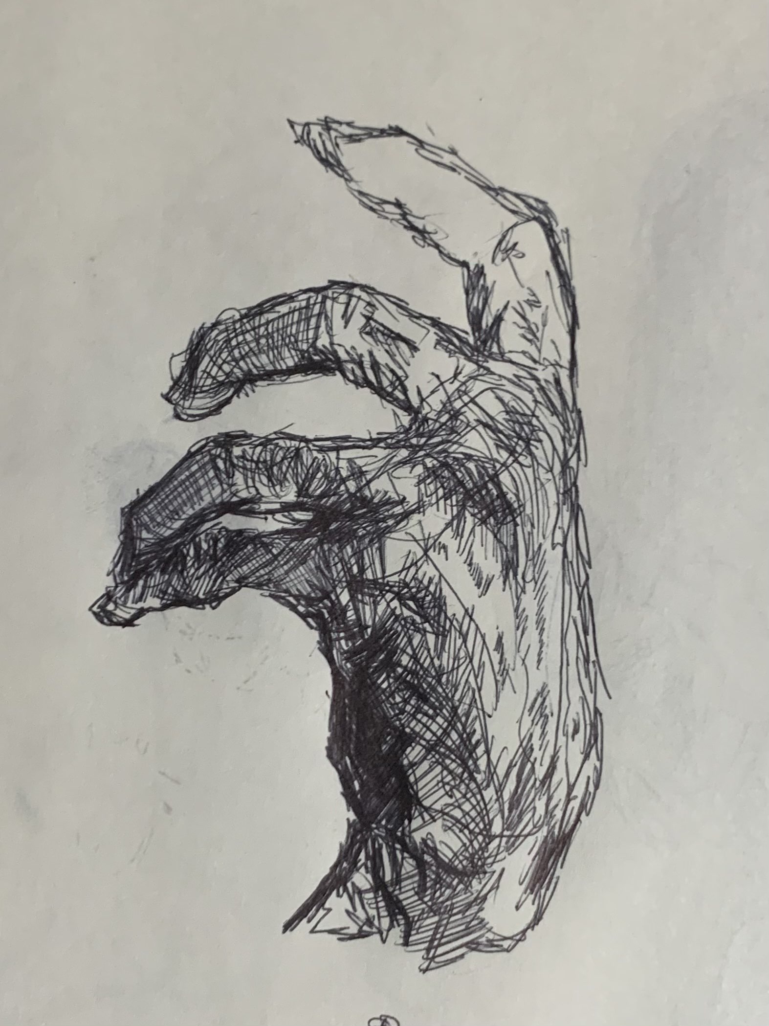 Hand Study 6