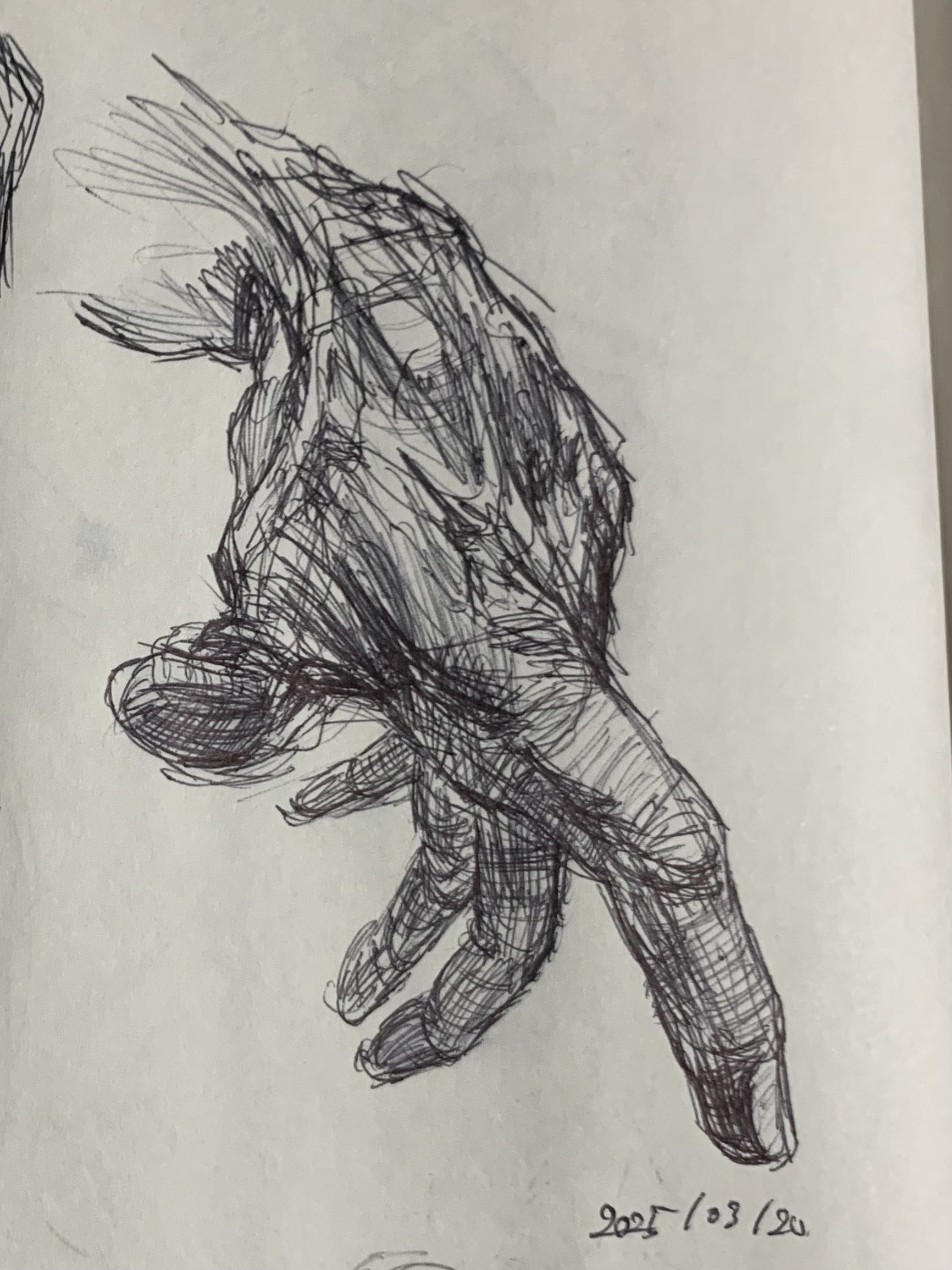 Hand Study 7